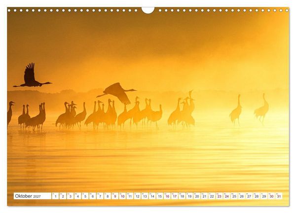 Produktbild: Natur und Tierparadies (Wandkalender 2027 DIN A3 quer), CALVENDO Monatskalender