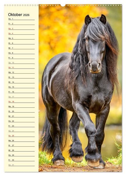 Produktbild: Zauber der Ponys. Kleine Pferde in der Natur (Wandkalender 2026 DIN A2 hoch), CALVENDO Monatskalender