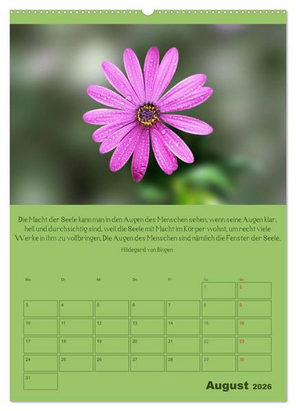 Produktbild: Erkenntnis und Weisheit - Hildegard von Bingen (Wandkalender 2026 DIN A2 hoch), CALVENDO Monatskalender