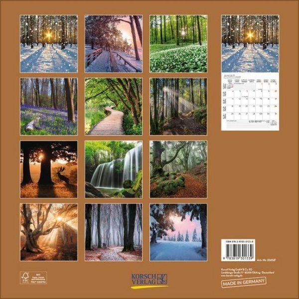 Produktbild: Magische W&auml;lder 2027