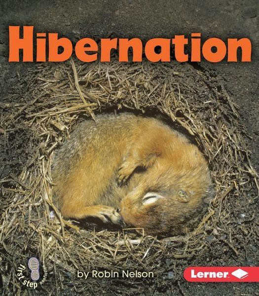 Produktbild: Hibernation