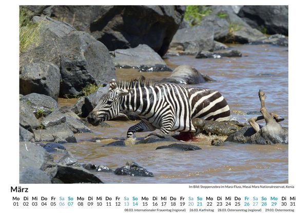 Produktbild: Wildtiere in Kenia