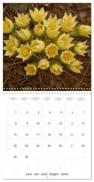 Produktbild: Eurasia Flowers (Wall Calendar 2026 12 &times; 12 Inch) CALVENDO 12 Month Wall Calendar
