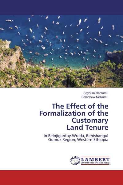 Produktbild: The Effect of the Formalization of the Customary Land Tenure