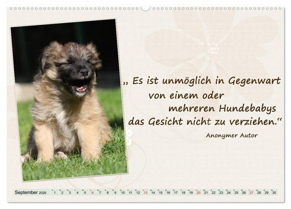 Produktbild: Mit Hundezitaten gut durchs Jahr (hochwertiger Premium Wandkalender 2026 DIN A2 quer), Kunstdruck in Hochglanz