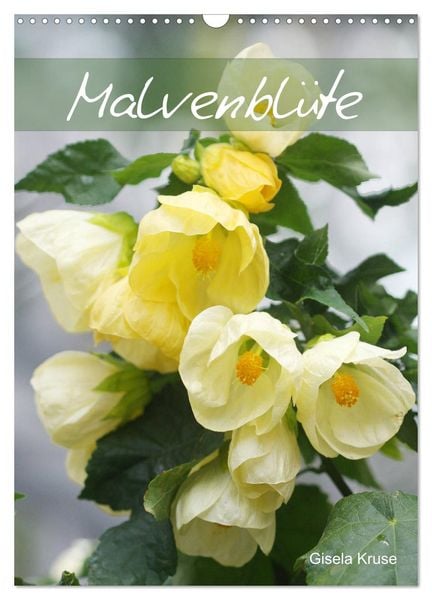 Malvenblüte (Wandkalender 2026 DIN A3 hoch), CALVENDO Monatskalender