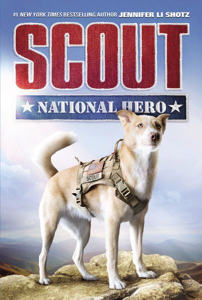 Produktbild: Scout: National Hero