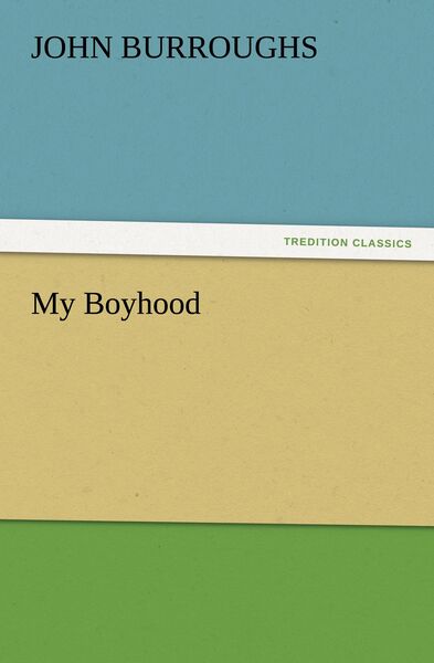 Produktbild: My Boyhood