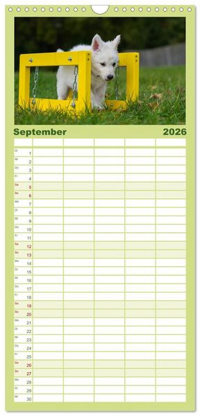 Produktbild: Familienplaner 2026 - Wei&szlig;er Schweizer Sch&auml;ferhund - Ein Tag im Leben einer Hundefamilie mit 5 Spalten (Wandkalender, 21 x 45 cm) CALVENDO