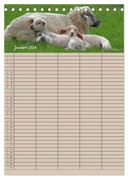 Produktbild: Der bel&auml;mmerte Familienplaner (Tischkalender 2026 DIN A5 hoch), CALVENDO Monatskalender