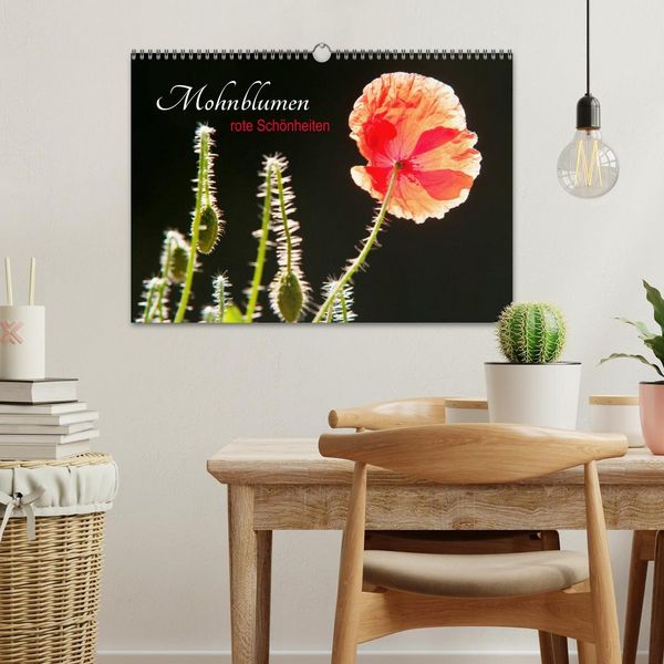 Produktbild: Mohnblumen - rote Sch&ouml;nheiten (Wandkalender 2026 DIN A3 quer), CALVENDO Monatskalender