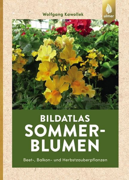 Produktbild: Sommerblumen