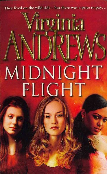 Produktbild: Midnight Flight