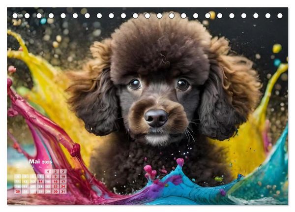 Produktbild: Splash - Hunde im Farbrausch (Tischkalender 2026 DIN A5 quer), CALVENDO Monatskalender