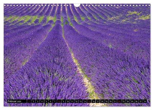 Produktbild: Lavendel (Wandkalender 2026 DIN A3 quer), CALVENDO Monatskalender