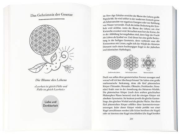 Produktbild: Higher Mind. Die Gesetze des Bewusstseins