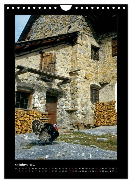 Produktbild: La vall&eacute;e de la Clar&eacute;e Hautes-Alpes (Calendrier mural 2026 DIN A4 horizontal), CALVENDO calendrier mensuel