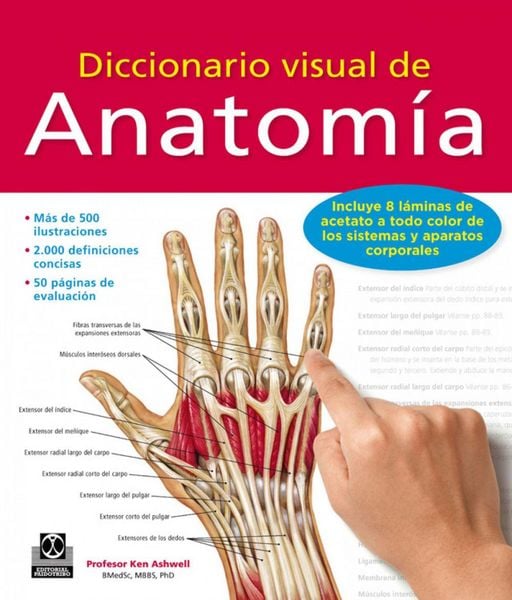 Produktbild: Diccionario visual de anatom&iacute;a