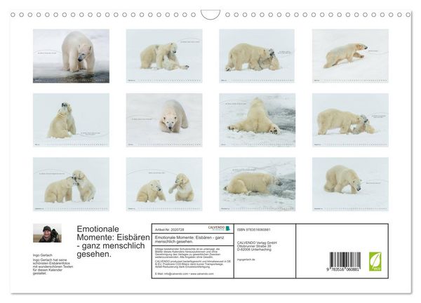 Produktbild: Emotionale Momente: Eisb&auml;ren - ganz menschlich gesehen. (Wandkalender 2026 DIN A3 quer), CALVENDO Monatskalender
