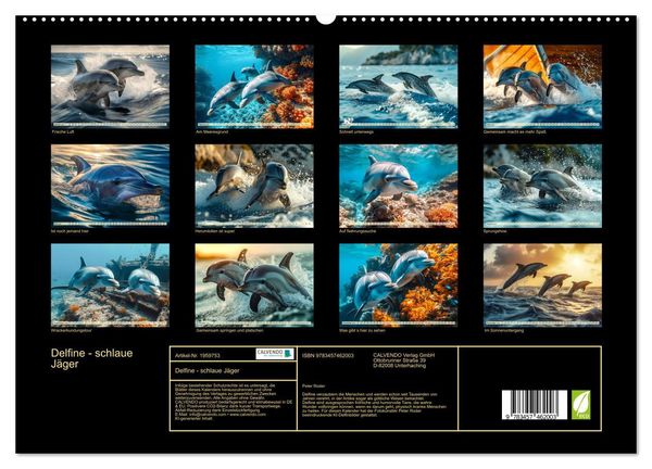 Produktbild: Delfine - schlaue J&auml;ger (hochwertiger Premium Wandkalender 2026 DIN A2 quer), Kunstdruck in Hochglanz