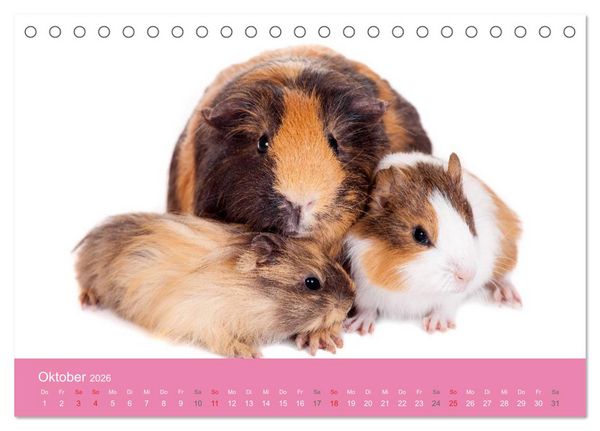 Produktbild: S&uuml;&szlig;e Tier-Babys! (Tischkalender 2026 DIN A5 quer), CALVENDO Monatskalender