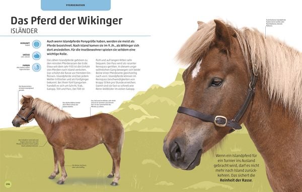 Produktbild: Pferde und Ponys