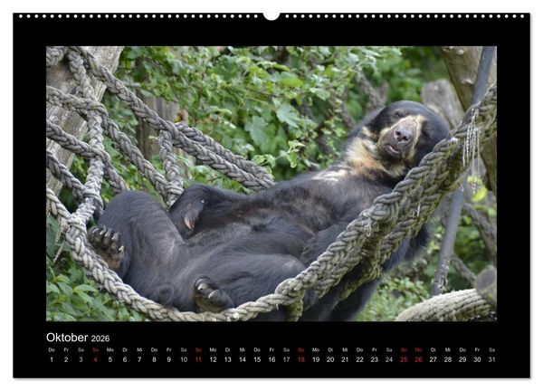 Produktbild: Bitte nicht st&ouml;ren... hier tr&auml;umen Tiere (hochwertiger Premium Wandkalender 2026 DIN A2 quer), Kunstdruck in Hochglanz