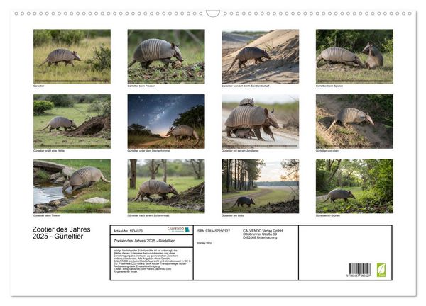 Produktbild: Zootier des Jahres 2025 - G&uuml;rteltier (Wandkalender 2026 DIN A2 quer), CALVENDO Monatskalender