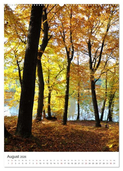 Produktbild: Faszination der Farben im Naturpark Lappwald (Wandkalender 2026 DIN A2 hoch), CALVENDO Monatskalender