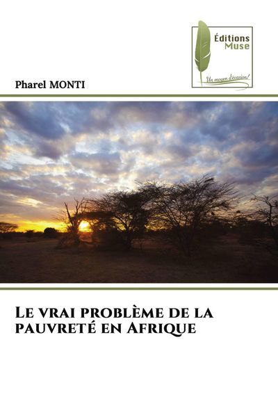 Produktbild: Le vrai probl&egrave;me de la pauvret&eacute; en Afrique