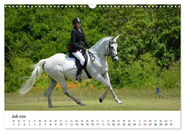 Produktbild: Eventing - Der ultimative Reitsport (Wandkalender 2026 DIN A3 quer), CALVENDO Monatskalender