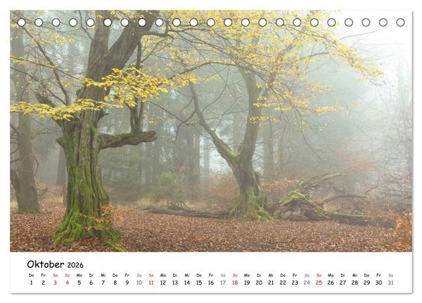 Produktbild: Morgendliche Stimmungen in Nordhessen (Tischkalender 2026 DIN A5 quer), CALVENDO Monatskalender