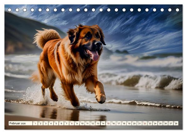 Produktbild: Leonberger - der zahme L&ouml;we (Tischkalender 2026 DIN A5 quer), CALVENDO Monatskalender