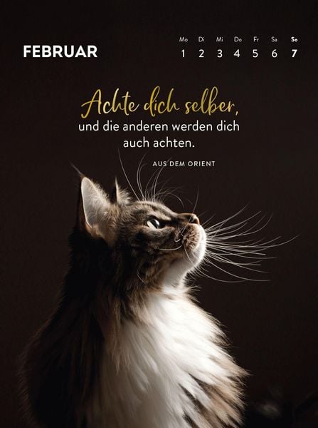 Produktbild: Wochenkalender 2027: Goldene Katzenweisheiten f&uuml;r jeden Tag