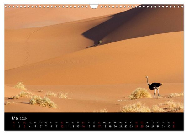Produktbild: V&ouml;gel & Landschaften (Wandkalender 2026 DIN A3 quer), CALVENDO Monatskalender