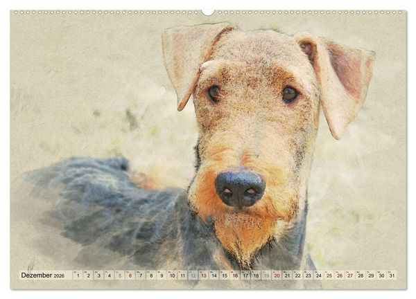 Produktbild: Airedale Terrier 2026 (hochwertiger Premium Wandkalender 2026 DIN A2 quer), Kunstdruck in Hochglanz