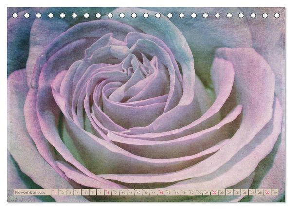 Produktbild: Rosenduft Shabby Chic Style (Tischkalender 2026 DIN A5 quer), CALVENDO Monatskalender