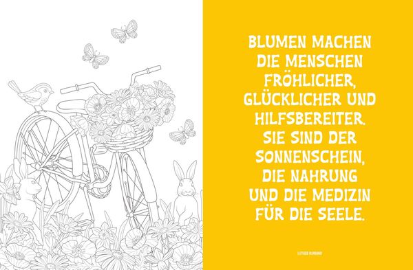Produktbild: Colorful Mandala &ndash; Bl&uuml;ten und Schmetterlinge