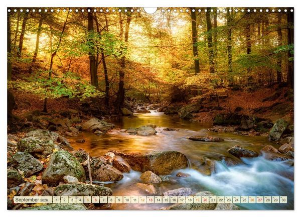 Produktbild: Traumwege entdecken (Wandkalender 2026 DIN A3 quer), CALVENDO Monatskalender