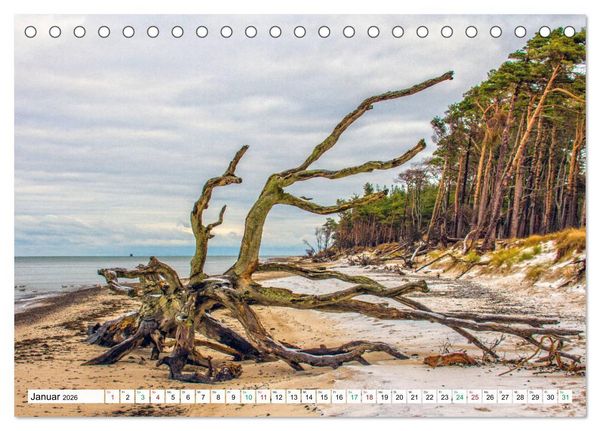 Produktbild: Dar&szlig;er Weststrand - Fischland Dar&szlig; Zingst (Tischkalender 2026 DIN A5 quer), CALVENDO Monatskalender