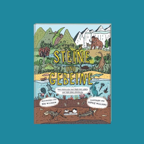 Produktbild: Steine und Gebeine