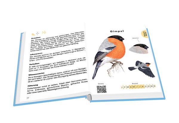Produktbild: Anaconda Taschenf&uuml;hrer V&ouml;gel. 70 Arten bestimmen und entdecken