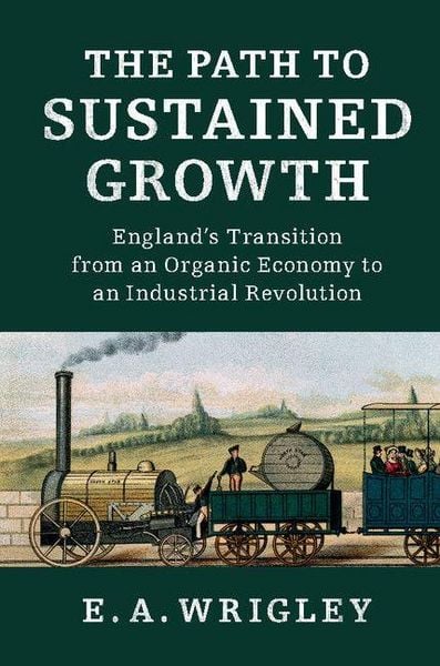 Produktbild: The Path to Sustained Growth