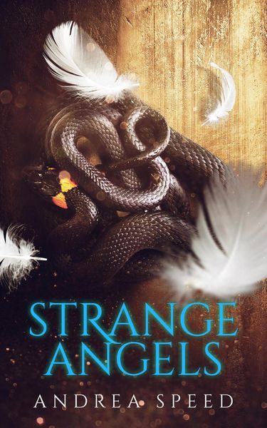 Produktbild: Strange Angels