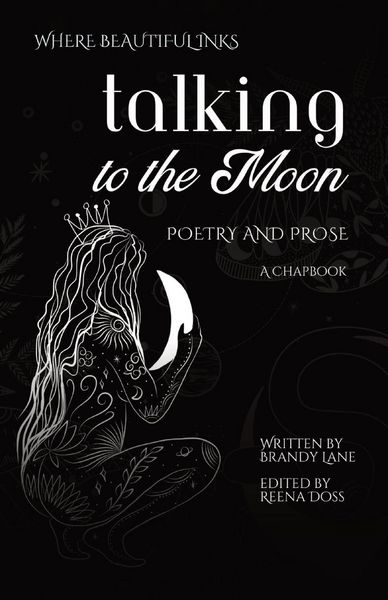 Produktbild: Talking to the Moon