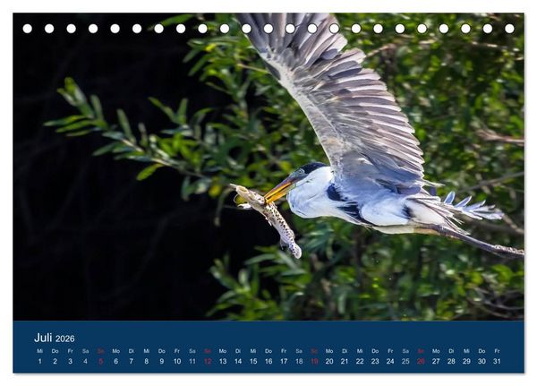 Produktbild: Brasilien tierisch gut 2026 (Tischkalender 2026 DIN A5 quer), CALVENDO Monatskalender