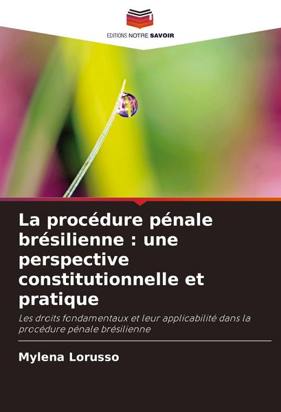 Produktbild: La proc&eacute;dure p&eacute;nale br&eacute;silienne : une perspective constitutionnelle et pratique