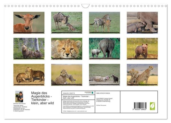 Produktbild: Magie des Augenblicks - Tierkinder - klein, aber wild (Wandkalender 2026 DIN A3 quer), CALVENDO Monatskalender