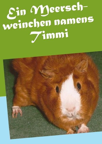 Produktbild: Ein Meerschweinchen namens Timmi