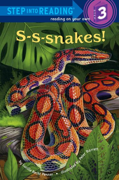 Produktbild: S-S-snakes!